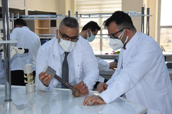 Türk bilim adamları kudret narının kemik kırığı tedavisinde kullanılabileceğini ispatladı