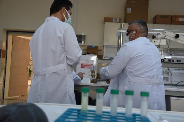 Türk bilim adamları kudret narının kemik kırığı tedavisinde kullanılabileceğini ispatladı