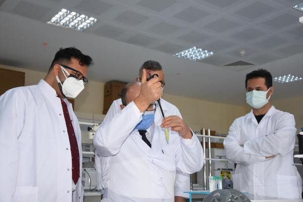 Türk bilim adamları kudret narının kemik kırığı tedavisinde kullanılabileceğini ispatladı