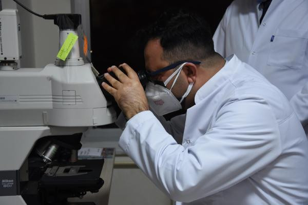 Türk bilim adamları kudret narının kemik kırığı tedavisinde kullanılabileceğini ispatladı