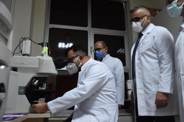 Türk bilim adamları kudret narının kemik kırığı tedavisinde kullanılabileceğini ispatladı