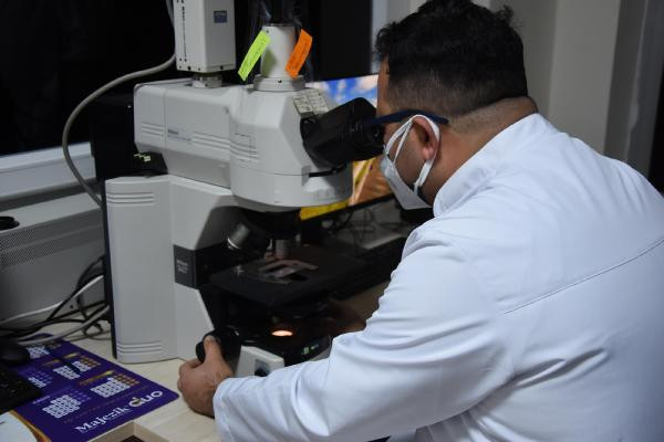 Türk bilim adamları kudret narının kemik kırığı tedavisinde kullanılabileceğini ispatladı