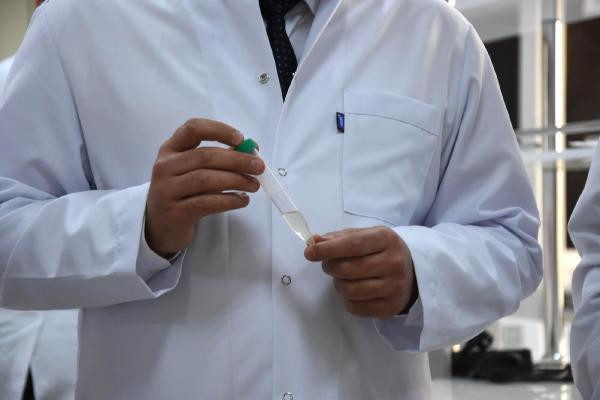 Türk bilim adamları kudret narının kemik kırığı tedavisinde kullanılabileceğini ispatladı