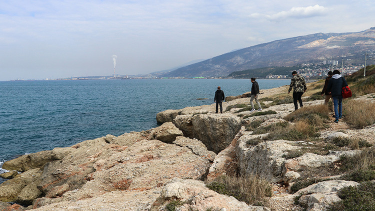 12 metre uzunluğunda... Görenler telefonuna sarıldı, kıyıya vurdu Müzede sergilenecek