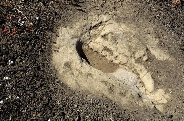 Kula-Salihli UNESCO Global Jeoparkındaki ayak izleri 5 bin yıllık çıktı