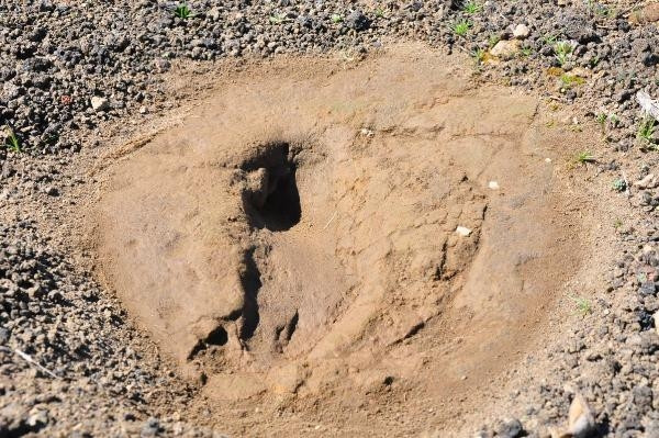 Kula-Salihli UNESCO Global Jeoparkındaki ayak izleri 5 bin yıllık çıktı