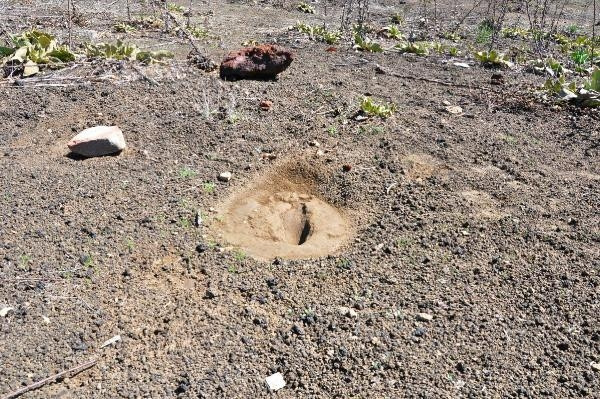 Kula-Salihli UNESCO Global Jeoparkındaki ayak izleri 5 bin yıllık çıktı