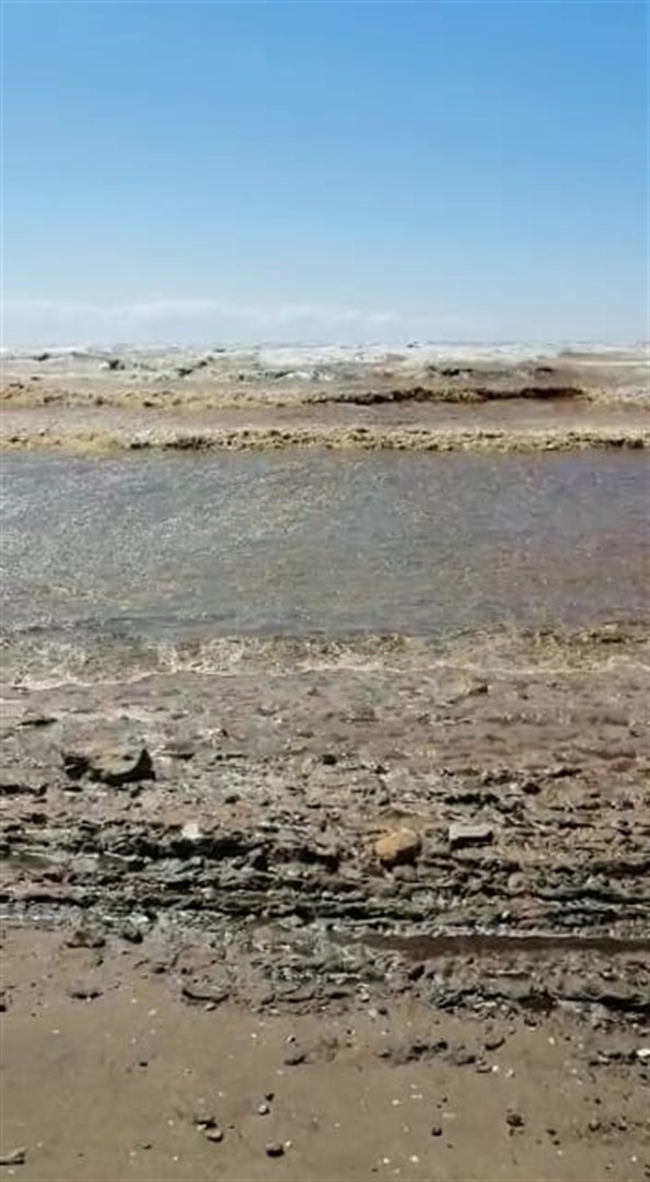 Karataş sahilinde tedirginlik yaratan kirlilik