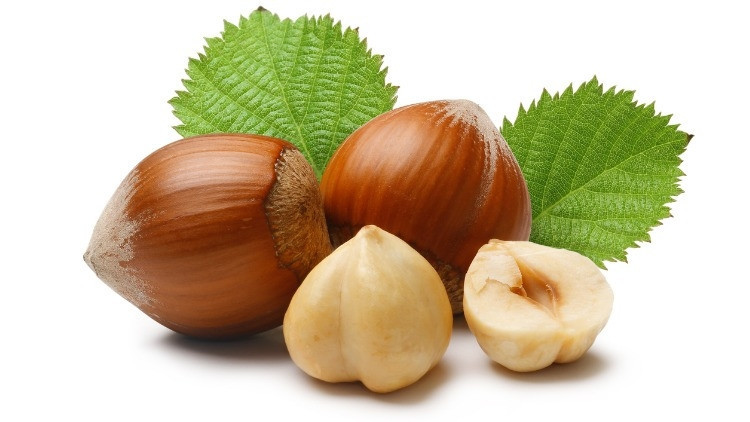 Fındık