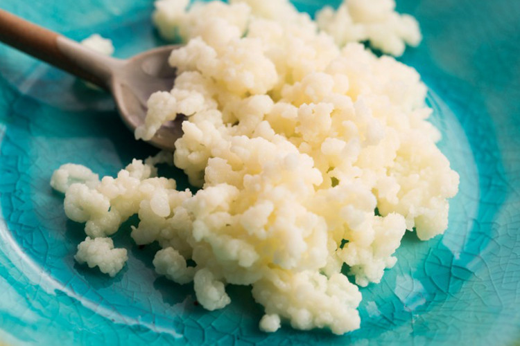 Probiyotik bulunan besinler