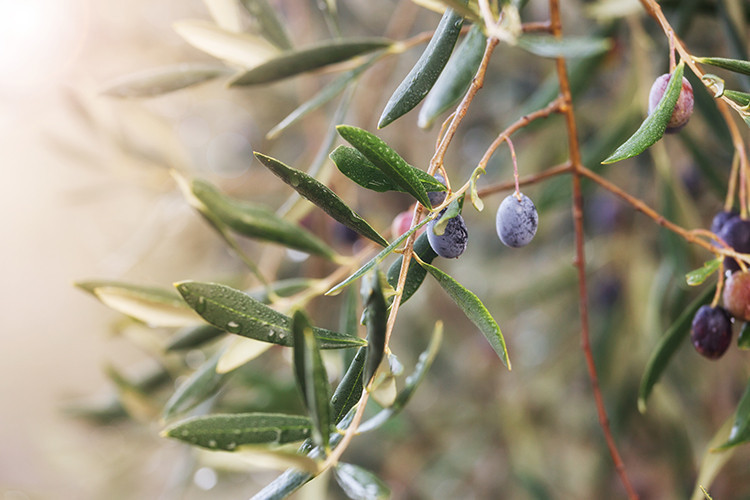 Tüketirken bunlara dikkat