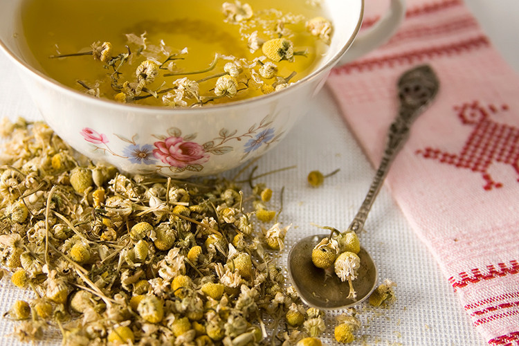 Papatya çayı nelere iyi gelir, nasıl hazırlanır? Papatya çayının faydaları - Hürriyet Aile Ebeveyn