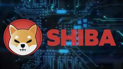 Shiba Coin (SHIB) nedir Dogecoin killer (Dogecoinin katili) unvanıyla tanıtılıyor