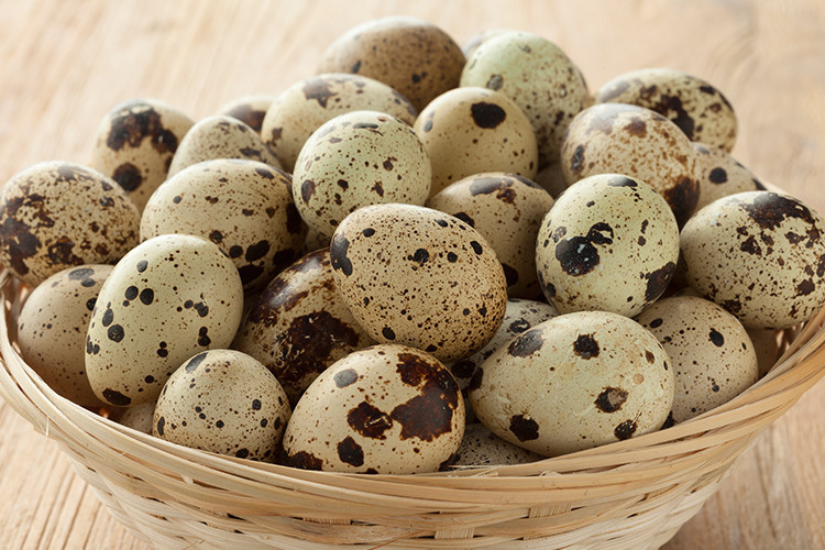Bıldırcın yumurtasının faydaları nelerdir
