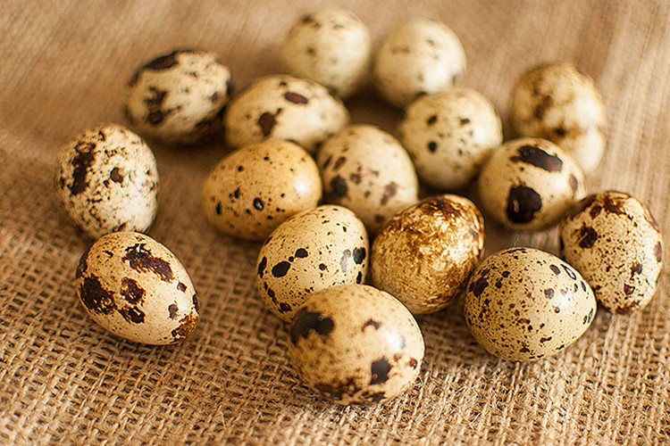 Bıldırcın yumurtası nasıl tüketilmeli