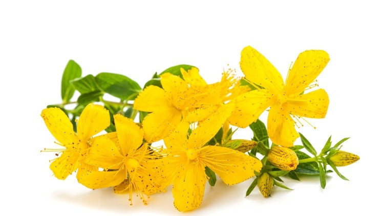 Adet ağrılarını hafifletmeye yardımcı olur