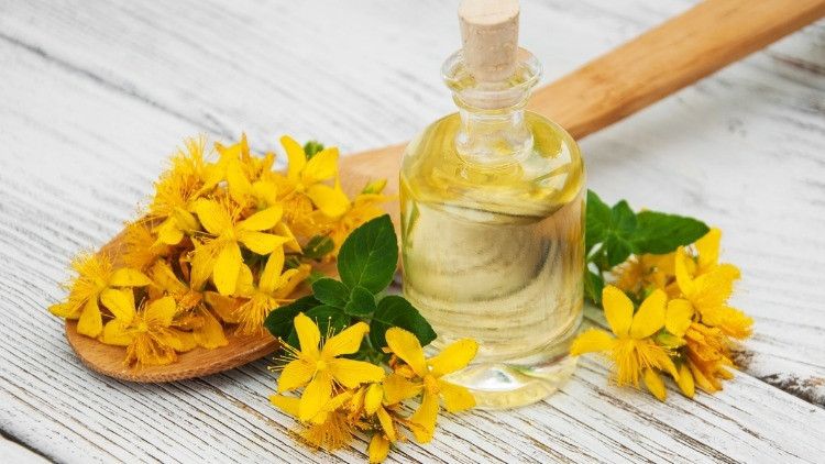 Sarı kantaron yağı faydaları nelerdir, neye iyi gelir