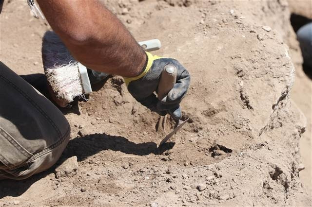 Zerzevan Kalesindeki Mithras Tapınağına bağlantılı yapılar bulundu