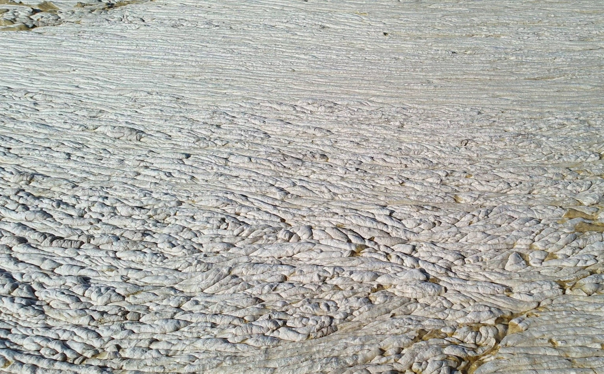 Şaşkına çeviren görüntü İşte müsilajın yoğunluğu...