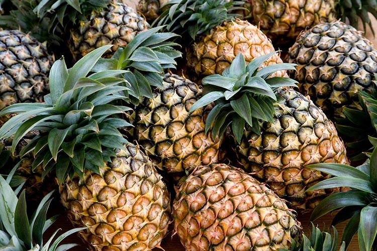 Ananas suyu faydaları nelerdir Ananas neye iyi gelir İşte ananasın sağlığa yararları Ananas suyu faydaları nelerdir Ananas neye iyi gelir İşte ananasın sağlığa yararları