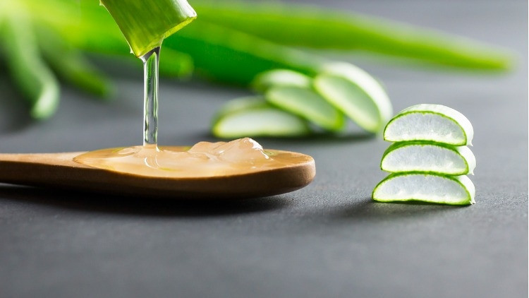 Aloe vera, koyu lekeler için en iyi doğal yöntem olabilir Aloe vera, koyu lekeler için en iyi doğal yöntem olabilir