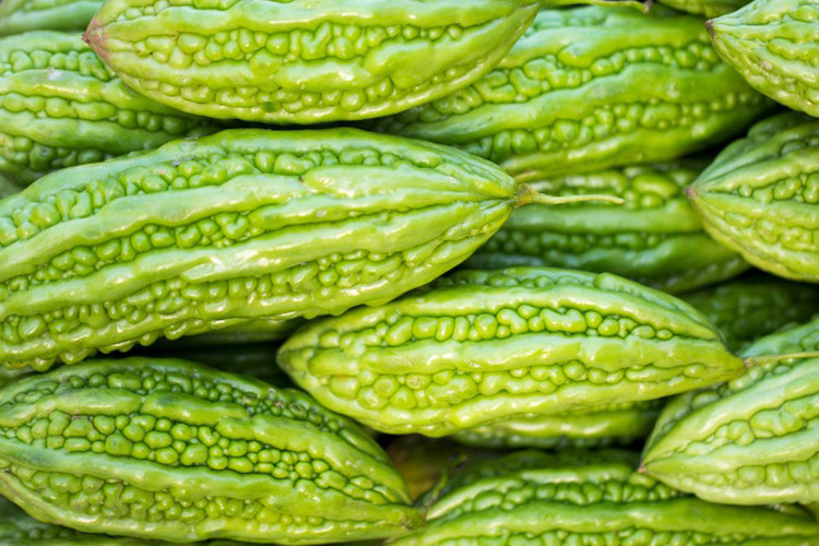 Kudret narının faydaları nelerdir