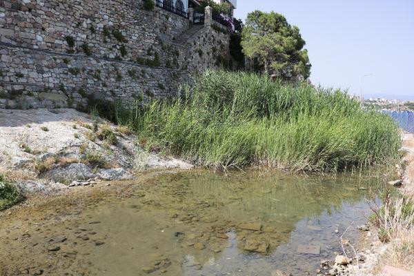 İzmir Müze Müdürlüğü’nde yolsuzluk iddialarına inceleme
