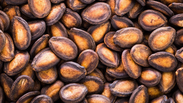 Sindirimi kolaylaştırır