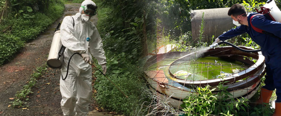 ZİKA VİRÜSÜ BULAŞIR MI