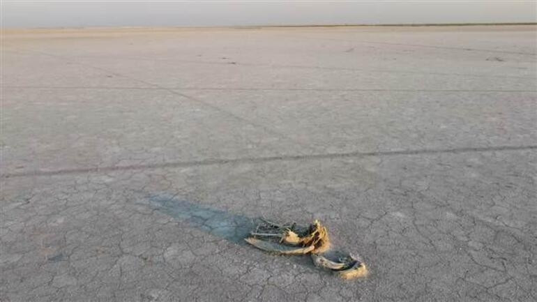 Tuz Gölü toplu flamingo ölümleriyle gündemde - Tuz gölündeki Flamingolar neden öldü Tuz Gölü toplu flamingo ölümleriyle gündemde - Tuz gölündeki Flamingolar neden öldü