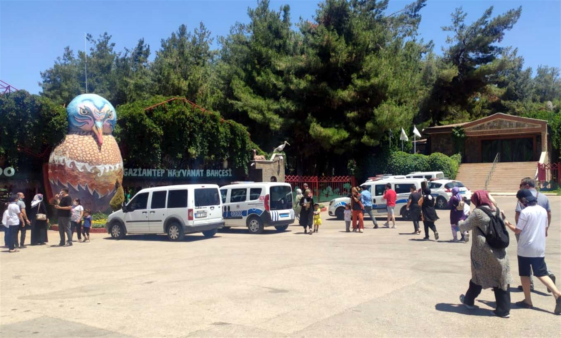 Gaziantepte hayvanat bahçesinde aslan paniği