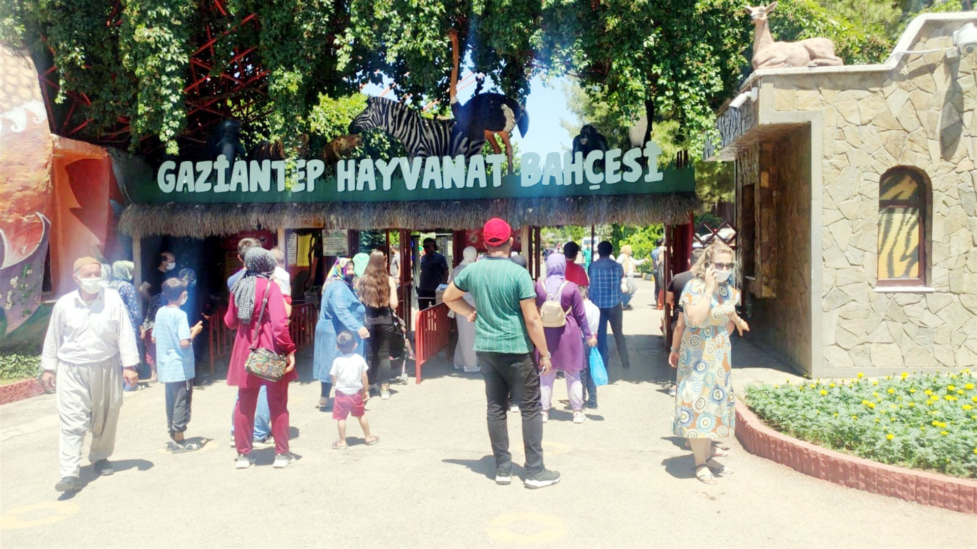 Gaziantepte hayvanat bahçesinde aslan paniği