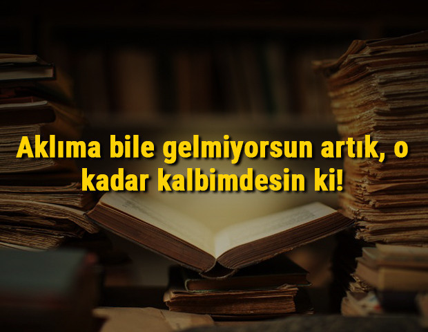 Cemal Süreya sözleri (Güncel) - Cemal Süreyanın en güzel resimli, kısa, uzun, aşk, sevda ve sevgi üzerine sözleri