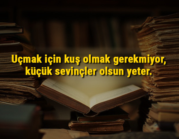Cemal Süreya sözleri (Güncel) - Cemal Süreyanın en güzel resimli, kısa, uzun, aşk, sevda ve sevgi üzerine sözleri