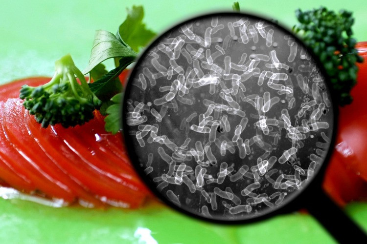 Salmonella nasıl bulaşır