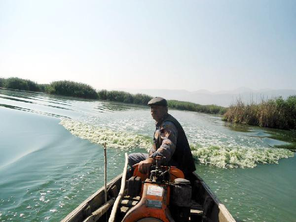 Eber Gölünde su seviyesi 1 metreye kadar düştü