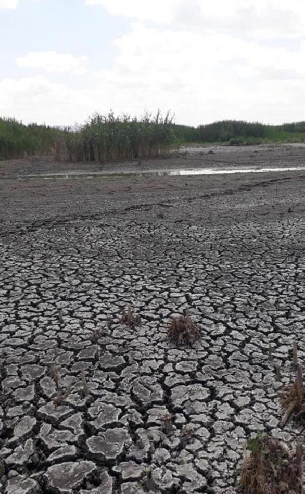 Eber Gölünde su seviyesi 1 metreye kadar düştü