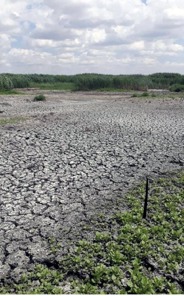 Eber Gölünde su seviyesi 1 metreye kadar düştü