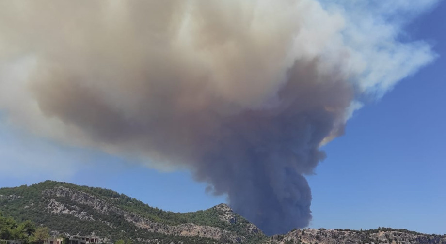 Bir kâbus daha Marmariste orman yangını