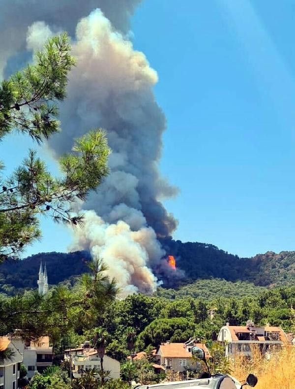 Bir kâbus daha Marmariste orman yangını