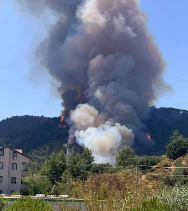 Bir kâbus daha Marmariste orman yangını