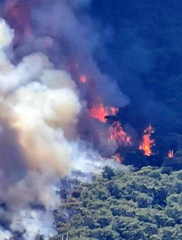 Bir kâbus daha Marmariste orman yangını