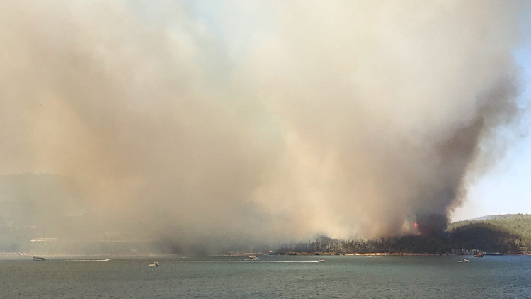 Bodrumda orman yangını