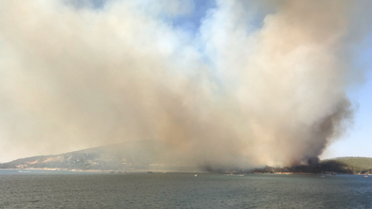 Bodrumda orman yangını