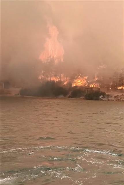 Bodrumda orman yangını