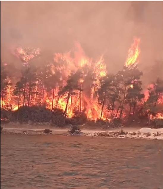 Bodrumda orman yangını