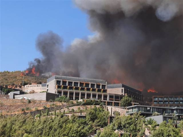 Bodrumda orman yangını