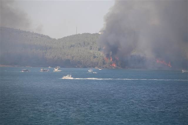 Bodrumda orman yangını