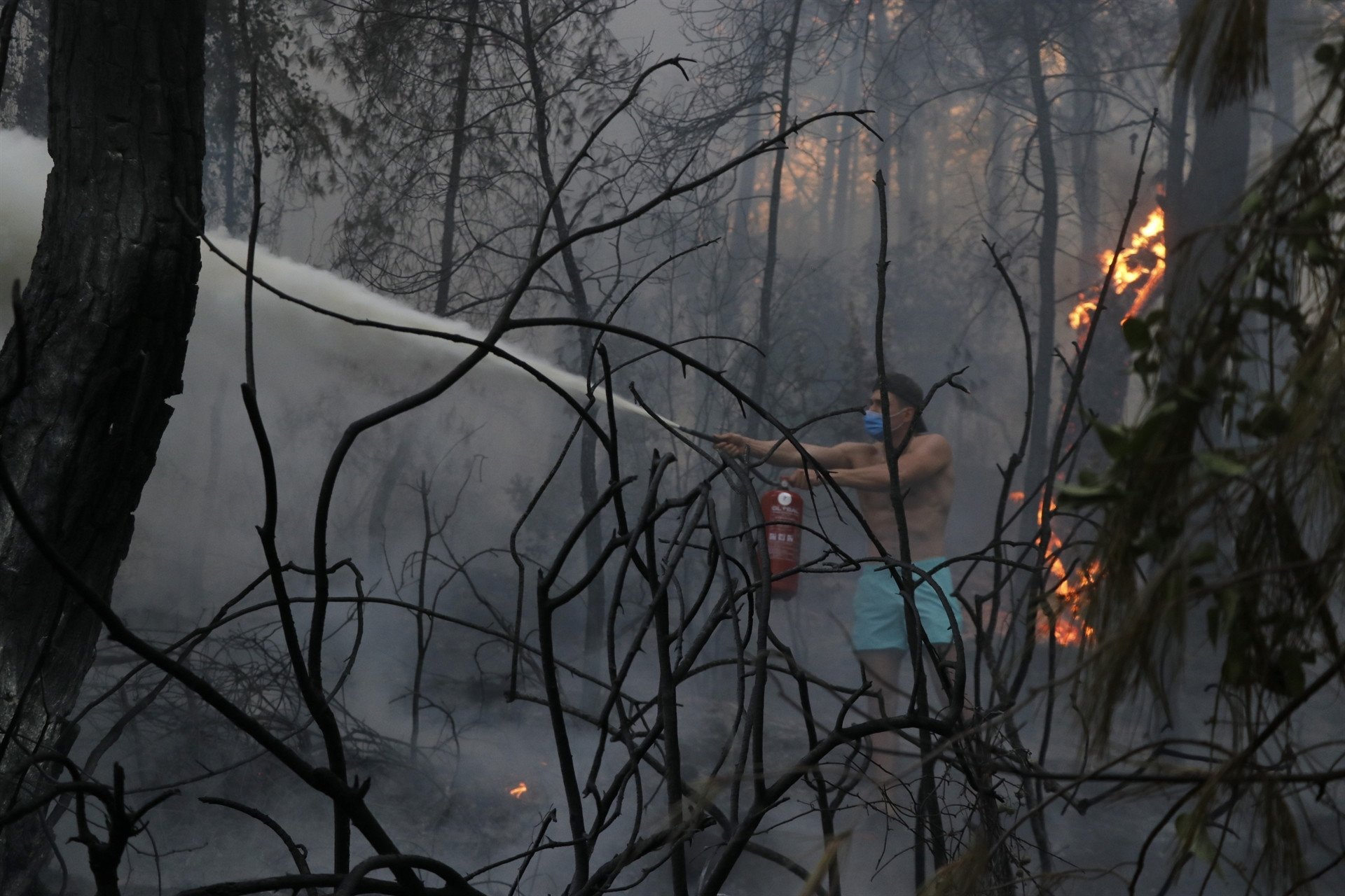 Bir kâbus daha Marmariste orman yangını