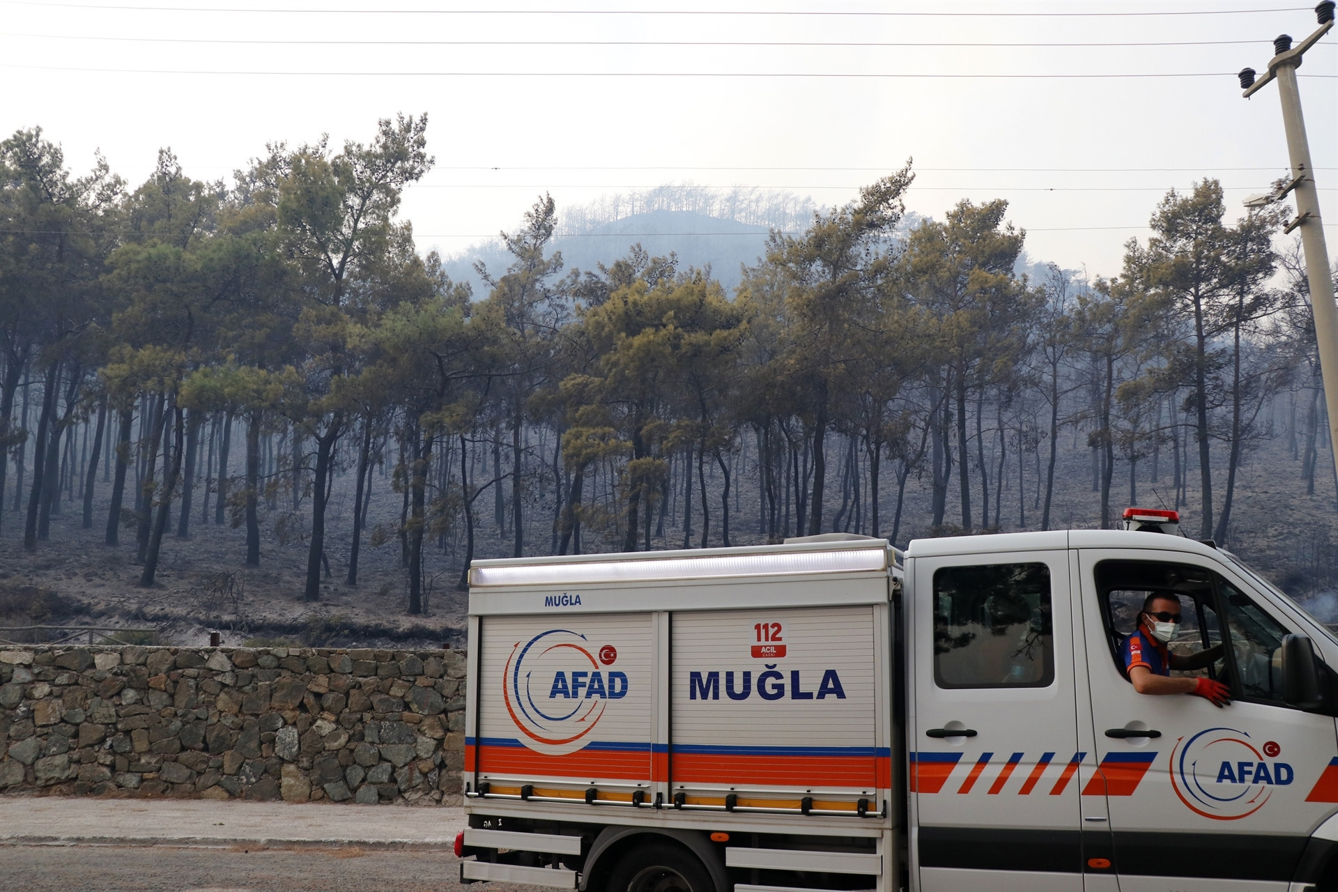 Bir kâbus daha Marmariste orman yangını